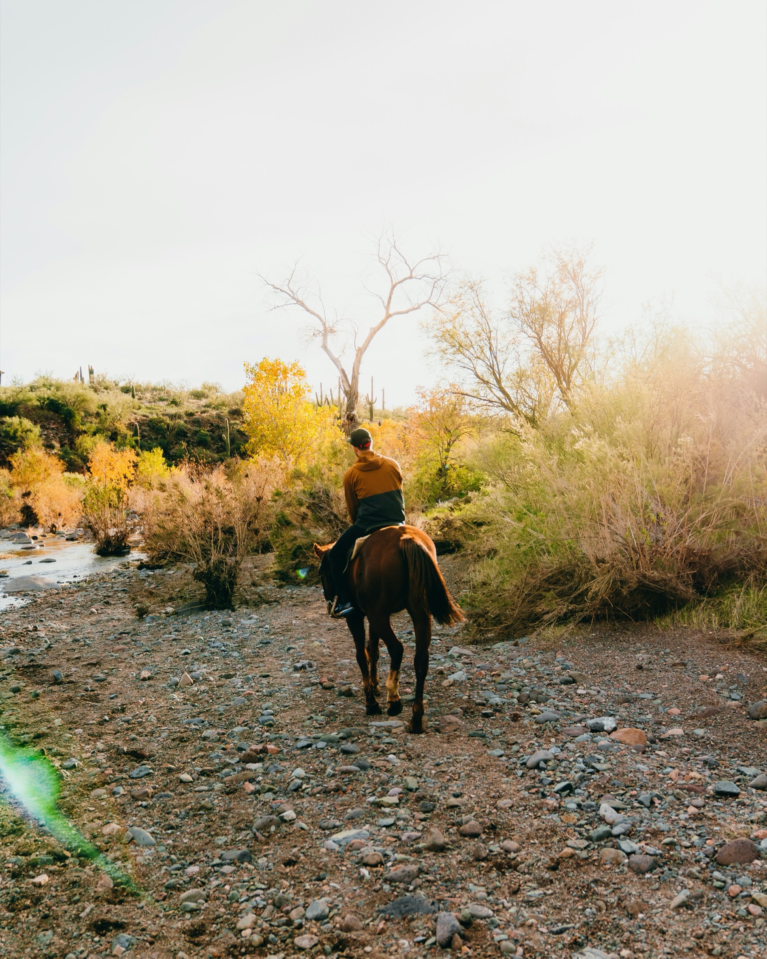 Horseback riding